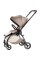 Прогулянкова коляска Britax Römer RIO (Style/Teak)