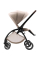 Прогулянкова коляска Britax Römer RIO (Style/Teak)