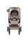 Прогулянкова коляска Britax Römer RIO (Style/Teak)