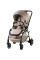 Прогулянкова коляска Britax Römer RIO (Style/Teak)
