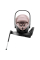 Автокрісло Britax Römer Baby-Safe Pro 2025 (Style/Dusty Rose)