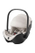 Автокрісло Britax Römer Baby-Safe Pro (Soft Taupe)