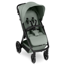 Прогулянкова коляска ABC Design Avus 2 (Pine)