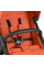 Прогулянкова коляска ABC Design Avus (Carrot)
