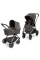 Універсальна коляска 2 в 1 ABC Design Samba 2 (Almond)