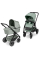Універсальна коляска 2 в 1 ABC Design Samba 2 (Pine)